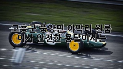 고흥군 풍양면 야막리 원룸 이사, 안전한 용달이사는?